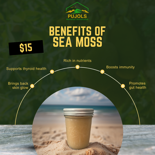 Raw Sea Moss Gel